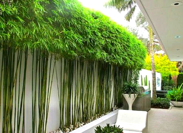 MỘT SỐ TIỂU CẢNH TƯỜNG TRONG THIẾT KẾ SÂN VƯỜN