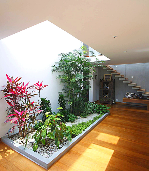 DỊCH VỤ THIẾT KẾ THI CÔNG TIỂU CẢNH