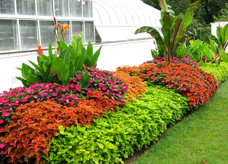 NHỮNG MẪU THIẾT KẾ BỒN HOA ĐẸP VÀ ẤN TƯỢNG
