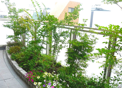 THIẾT KẾ TIỂU CẢNH BAN CÔNG ĐỘC ĐÁO ẤN TƯỢNG