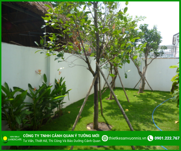 Vườn cây ăn trái