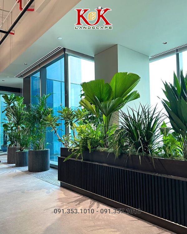 chăm sóc cây xanh