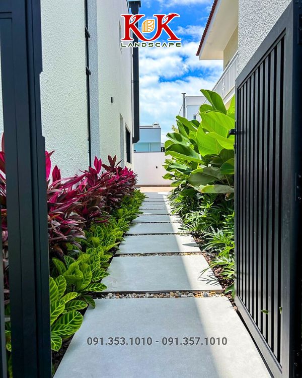 thi công vườn nhà phố