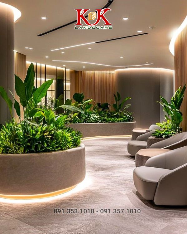 chăm sóc cây xanh văn phòng