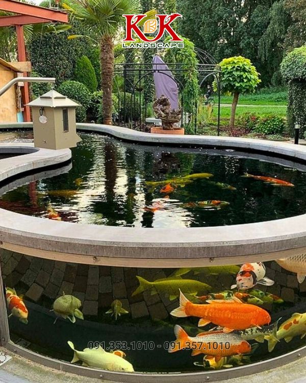 THIẾT KẾ VÀ THI CÔNG HỒ KOI – NGHỆ THUẬT KIẾN TẠO KHÔNG GIAN SỐNG ĐẲNG CẤP