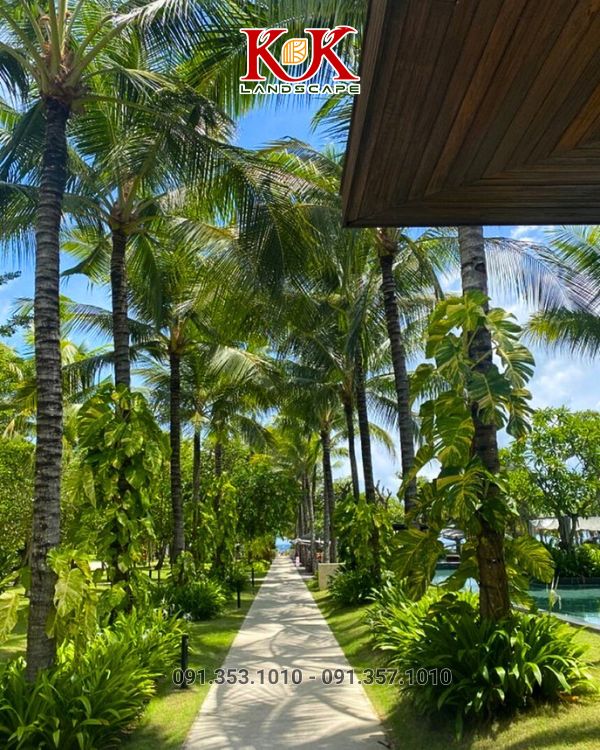 dịch vụ chăm sóc cảnh quan