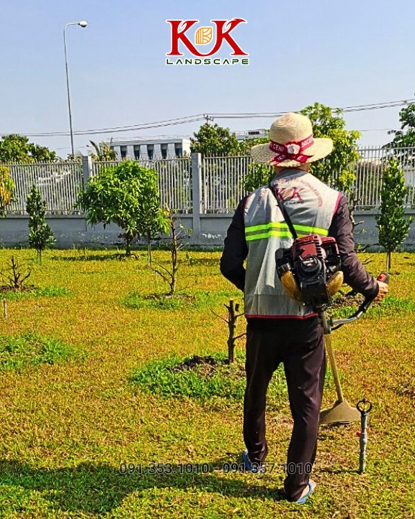 chăm sóc cây xanh cảnh quan