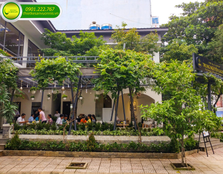 Thi công trồng cây xanh cho quán café sân vườn